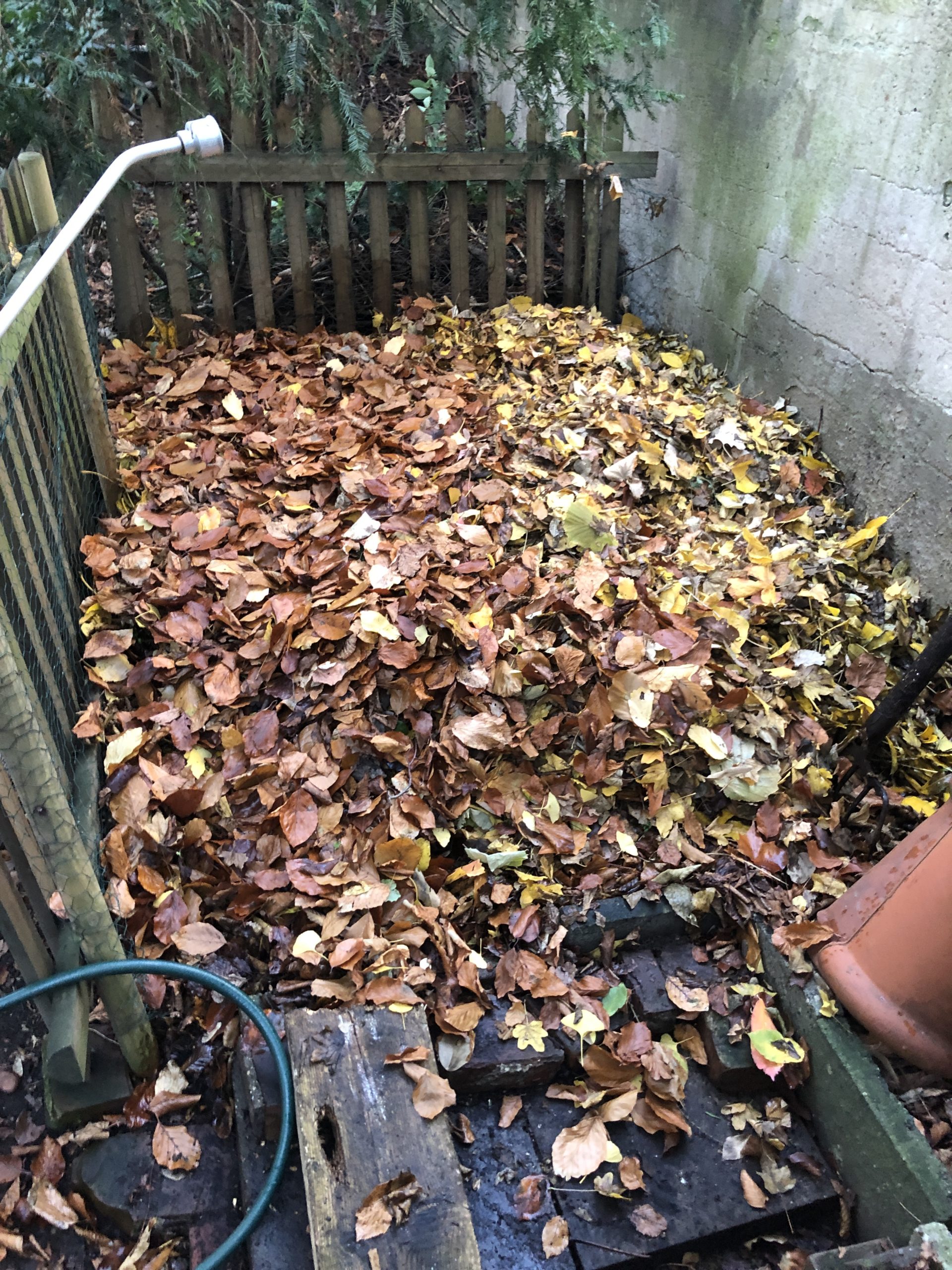 Laub kompostieren Kants Garten